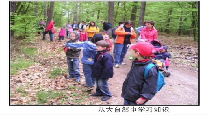 德国幼儿园教育注重开放式环境融合