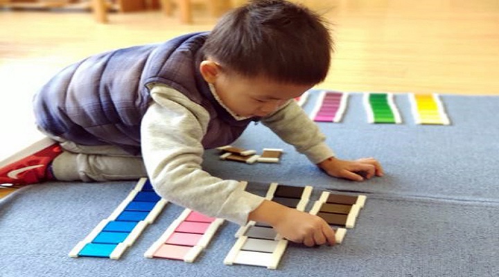 运用蒙台梭利幼教玩具帮孩子进行感官训练